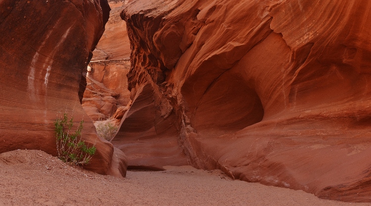 Water Hole Slot Canyon